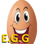 E.G.G. Studio
