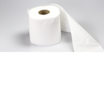 paper toilet
