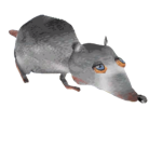 House Jerma