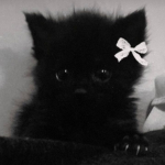Sophie Ugc : )
