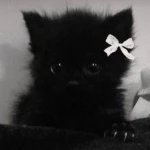 Sophie Ugc : ) Group Thumbnail