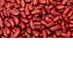 The Beans.