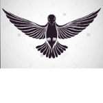 [After The Flash] The Black Doves