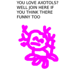Axolotls are funny