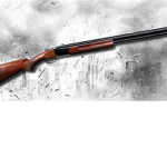Shotgun Warfare