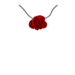 SmhRose
