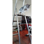 My cat is crazy lol