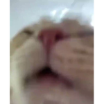 Emichy