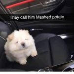 magnesium’s Roblox games