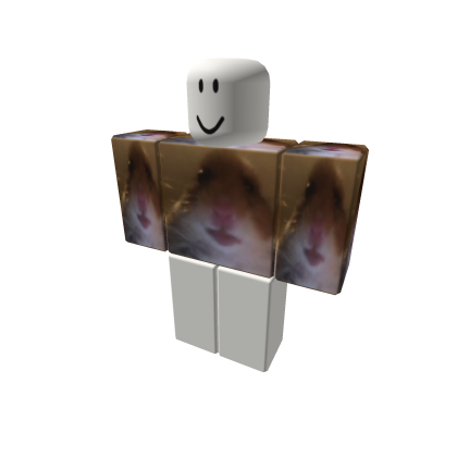 hampter shirt thumbnail