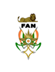 [RN] Armée de l'Air
