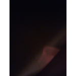 Tj lit