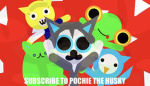 Pochie the husky community