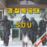 청성부대 | 707th Special Missions Group