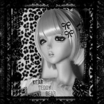 'Dear Teddy Bear