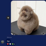 Terr undergrownd Group Thumbnail