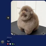 Terr undergrownd Group Thumbnail