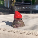 baby frogs<3