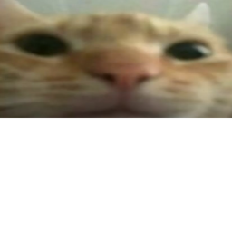 ecks dee