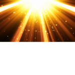 The Lightz