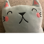 blueythekittycorn official fan group