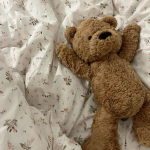 - teddy's