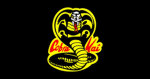 Cobra Kai cast fan group
