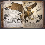 Cyber griffins YT