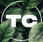 [TC] CLAN
