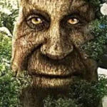 mystical tree of wisdom
