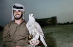 #- UAE ALAIN .