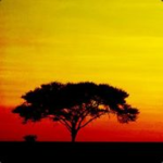 Bloxbuilt Studios