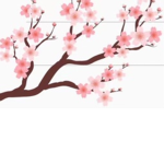 ~ Sakura High ~