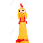 CHICKEN GROUP!!!!!