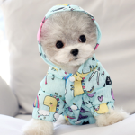 Lleva puesta a tu mascota / Wear your pet