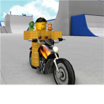 The Epic stunters of Roblox