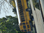 Carolina Bus Services