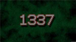 Group Number 1337