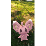 minccino0708