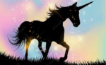 Caitlin unicorn fans!