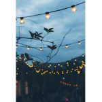 aestheticss :))