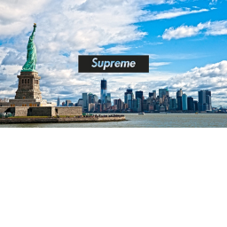 Supreme New York Homestore