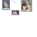 Wolfie Pack <3 UwU meh