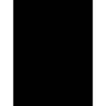 c4rti1