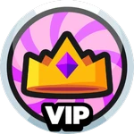 V.I.P