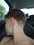 OS GEMADO