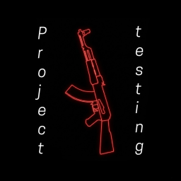 Project testing