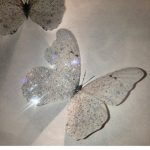 .~.butterflies wee.~.