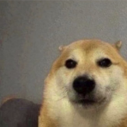 funny dog! Roblox decal