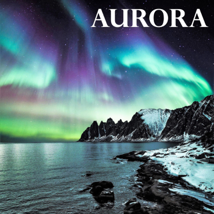 Tundra Roblox music